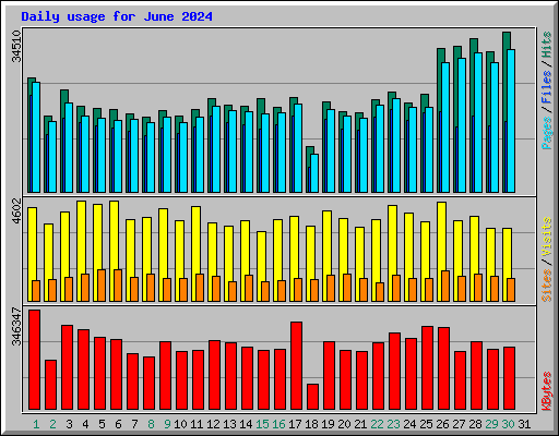 Daily usage for June 2024