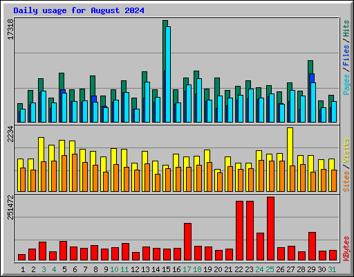 Daily usage for August 2024