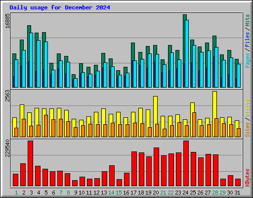 Daily usage for December 2024