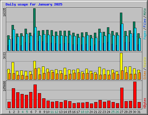 Daily usage for January 2025