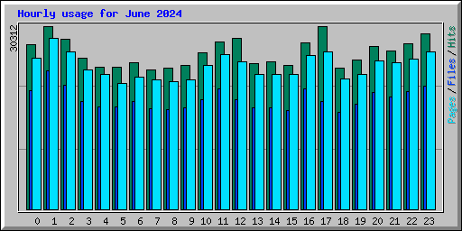 Hourly usage for June 2024