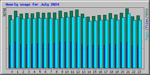 Hourly usage for July 2024