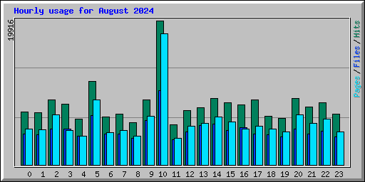 Hourly usage for August 2024