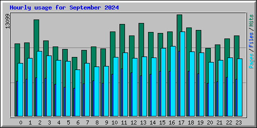 Hourly usage for September 2024