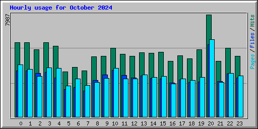 Hourly usage for October 2024