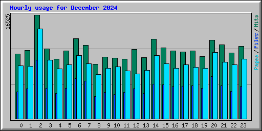 Hourly usage for December 2024