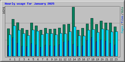 Hourly usage for January 2025