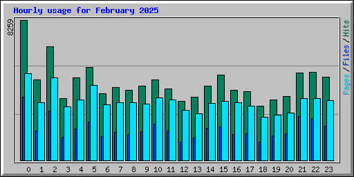 Hourly usage for February 2025