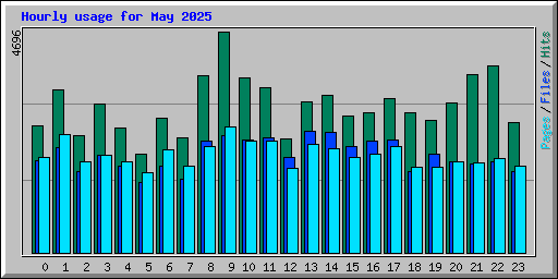 Hourly usage for May 2025