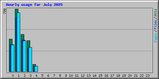 Hourly usage for July 2025