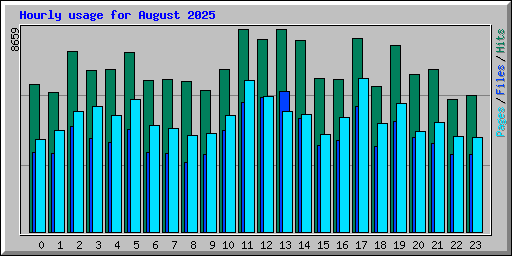 Hourly usage for August 2025