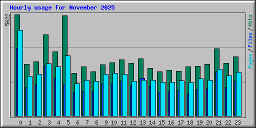 Hourly usage for November 2025