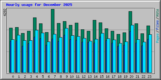 Hourly usage for December 2025