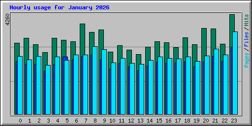 Hourly usage for January 2026