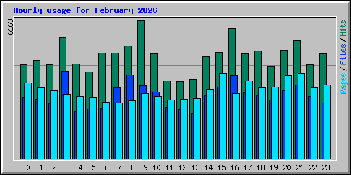 Hourly usage for February 2026