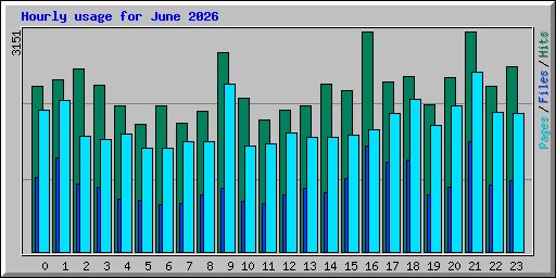 Hourly usage for June 2026